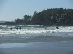 Surfers at Tofino, BC